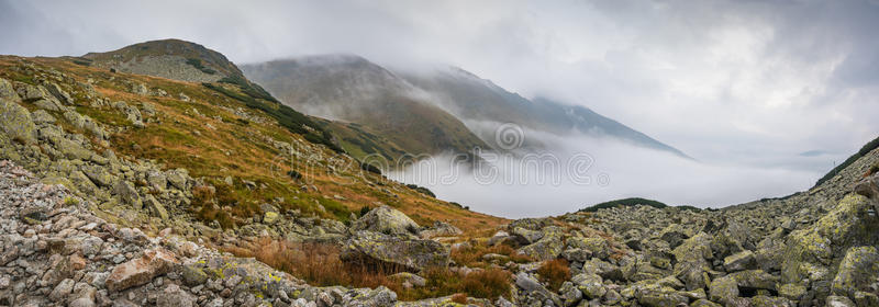 雾山景观