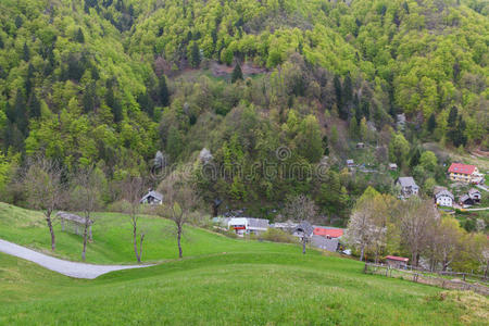 美丽的 山坡 朱利安 风景 草地 太阳 克朗 岩石 美女