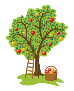 苹果树有水果，篮子和梯子，矢量