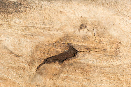 木质背景纹理