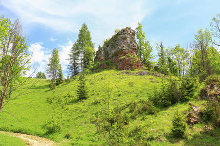 小山 磨光 公园 储备 风景 波兰 旅行 自然 国家的