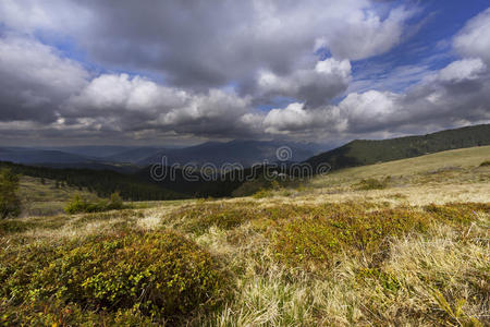 小山 追踪 范围 喀尔巴阡山 全景 岩石 森林 徒步旅行