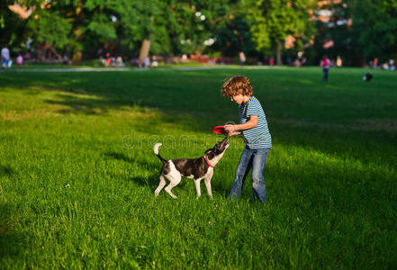 公园 学校 休息 朋友 宠物 男孩 自然 好的 快乐 年龄