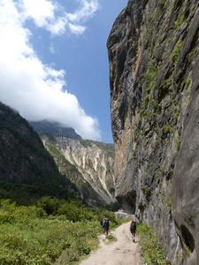 国家的 阿尔卑斯山 美丽的 自然 电路 风景 高地 假日