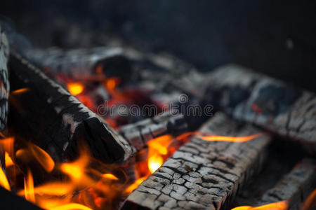 篝火 燃料 灭火器 发光 壁炉 点燃 热的 能量 地狱 要素