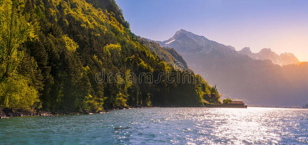 阿尔卑斯山 早晨 春天 太阳 思想 吸引力 遥远的 地点