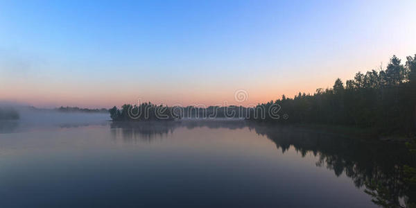 边缘 日落 早晨 薄雾 自然 森林 天空 风景 伍兹 夏天