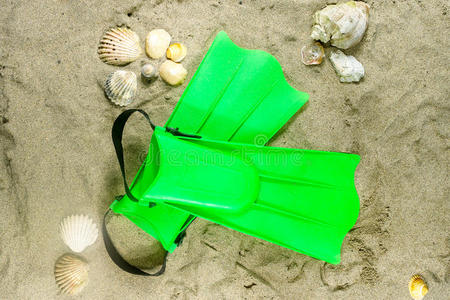 沙滩上的绿色鳍