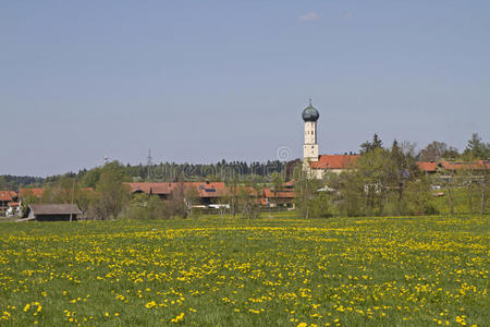 春天 穹顶 蒲公英 草地 风景 教堂 阿尔卑斯山 米斯巴赫