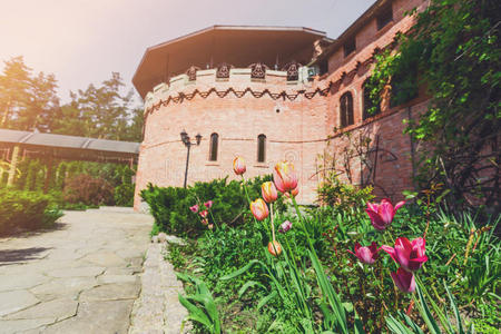 花的 风景 花园 颜色 城堡 自然 灌木 花瓣 美女 领域