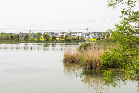 水边村