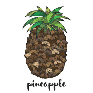 水果 雕刻 海报 食物 艺术 标签 插图 菠萝 要素 绘画