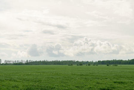 美丽的云彩笼罩着绿色的田野和森林