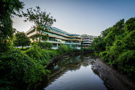 美国 华盛顿 直流电 风景 旅行 颜色 城市 联合 古老的