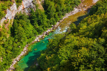 深的 公园 公司 刮匙 岩石 风景 欧洲 冒险 国家的 森林