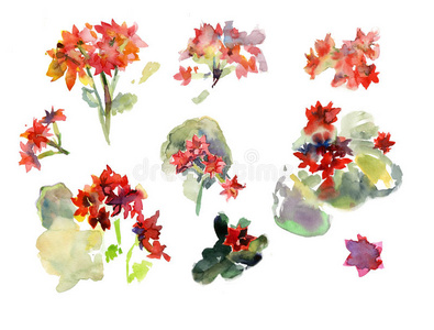 开花 颜色 自然 植物 纸张 油漆 插图 花的 绘画 招呼