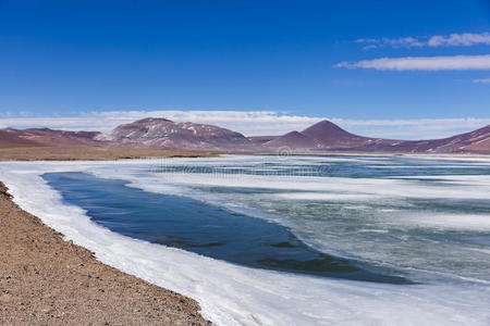 洛斯弗拉门科斯国家保护区的冷冻湖