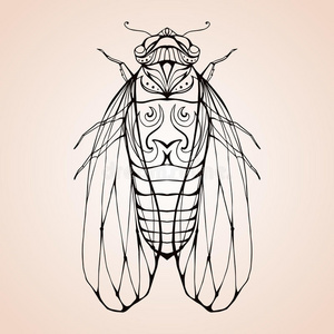 蝉绘画艺术品 萤火虫 动物 蚀刻 涂鸦 昆虫 缺陷 雕刻 插图照片