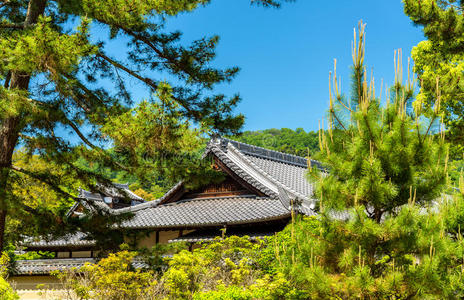 宗教 日本 美丽的 浮雕 入口 亚洲 纪念碑 历史的 佛教