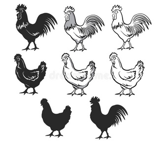 黑白动物轮廓图片