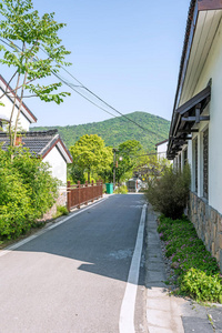 民居和道路