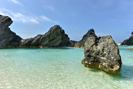 海景 海洋 风景 百慕大 大西洋 美女 泼洒 热的 海滩