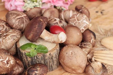 美食家 医学 营养 中国人 食物 烹饪 真菌 健康 自然