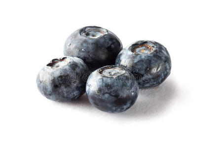 新鲜采摘的蓝莓在孤立的背景。