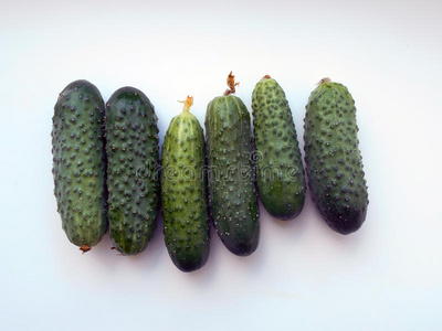 农业耕种的植物.成熟的椭圆形红萝卜黄瓜植物.生长台.矢量说明.