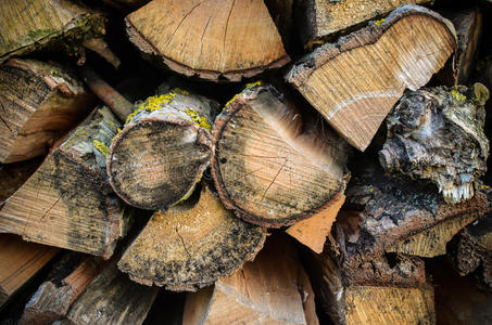 燃料 木材 行业 堆叠 木柴 日志 准备 更新 树皮 燃烧
