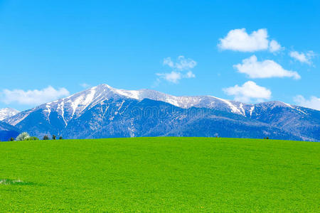 美丽的风景，绿色的草地和雪山。 斯洛伐克，中欧，利普托夫地区。