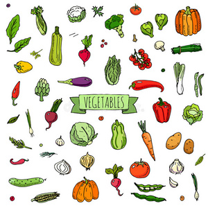 蔬菜图标集