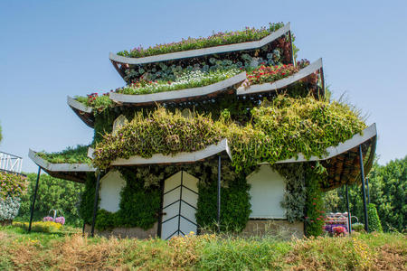 花坛 紫色 五颜六色 领域 满的 美丽的 豪宅 天空 布里克斯