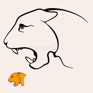 愤怒 哺乳动物 概述 偶像 插图 美洲狮 野兽 豹子 肖像