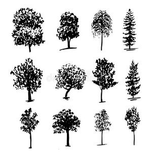 绘画收集不同类型的树木墨水素描插图