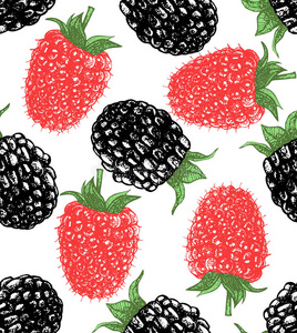 打印 纺织品 黑莓 甜点 夏天 自然 衣服 插图 覆盆子