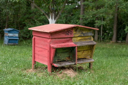 蜂蜜 养蜂 蜂巢 蜂箱 颜色 蜂蜡 乡村 果园 自然 农业
