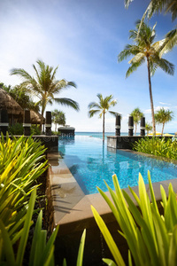健康 美丽的 奢侈 巴厘岛 棕榈 娱乐 休息室 绿色植物