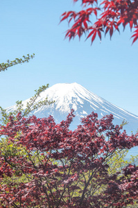 闪耀 早晨 富士 穿过 攀登 旅行者 日出 富士山 照片