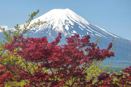 旅行者 早晨 那里 富士山 极点 日出 天空 穿过 地面