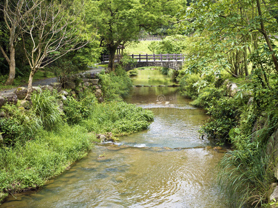 风景 公园 夏天 美丽的 森林 岩石 旅行 流动 自然 植物