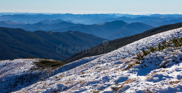 森林 平原 全景 范围 风景 小山 落下 公园 高的 概述