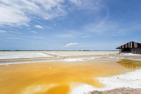 波动 碧武里府 地平线 海滩 海洋 天空 风景 泰国 农场