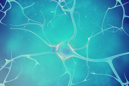 介意 插图 人类 霍蒙 神经 神经病学 冲动 连接 轴突