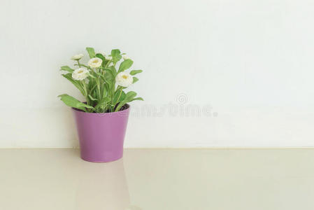 特写人工植物与白色花在紫色盆栽上模糊的大理石地板和白色水泥墙纹理背景