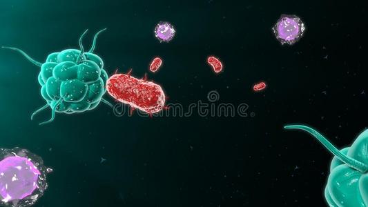 攻击免疫系统的细菌