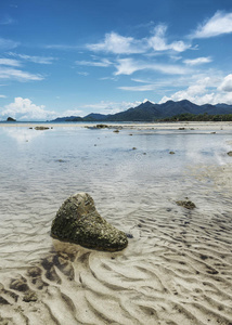 情感 逃走 海湾 海岸 风景 国家的 青稞酒 反射 情绪