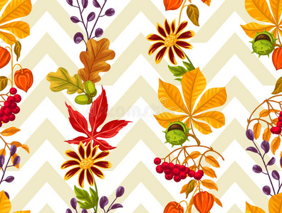 橡子 植物学 秋天 十月 美女 枫树 树叶 绘画 自然 十一月