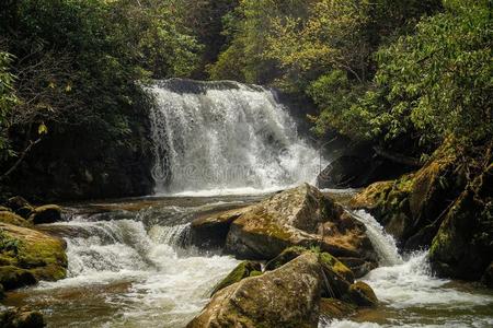 苔藓 春天 荒野 风景 瀑布 阿巴拉契亚 急流 卡罗莱纳州