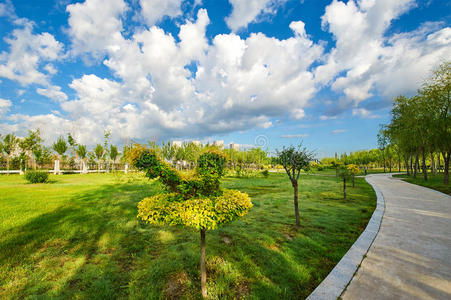 亚洲 漂亮的 森林 大庆 美丽的 黑龙江 国家的 风景 住宅